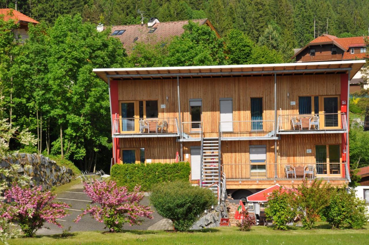 Erdhaeuser Und Apartments Mit Seeblick Und Alleinlage Weissensee Luaran gambar